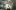 american-express-selects-talente-reto-braendli