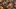american-express-neue-partner-icrash-2