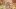 american-express-selects-neue-partner-con-gusto-2
