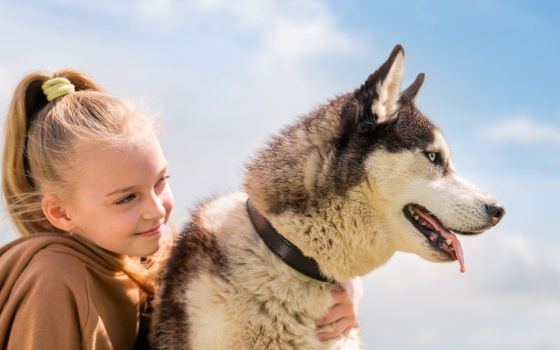 Ein blondes Mädchen umarmt einen Husky, im Hintergrund blauer Himmel. 