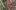 americanexpress-magazin-allgaeu-sehenswertes-wangen-stagestatic