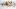 american-express-selects-neue-partner-swiss-alpine-herbs-4