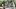 american-express-selects-restaurant-gasthof-zur-waag-2