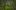 americanexpress-magazin-schwarzwald-sehenswertes-schwarzwald-stagestatic