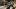 american-express-selects-neue-partner-the-wine-circle-1