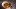 american-express-selects-dining-ornellaia-2