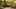 american-express-selects-dining-moments-fleuri-1