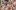 american_express_neue_partner_rivi_skyfall-2