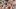 american_express_neue_partner_rivi_skyfall-2