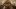american-express-selects-hotels-winterspecial-appenzeller-huus-loewen-1