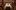 americanexpress-magazin-allgaeu-restaurant-hanuselhof-stagestatic