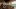 american_express_neue_partner_rivi_skyfall-1