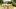american-express-selects-shopping-beliani-sommer-2