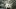american-express-selects-talente-reto-braendli