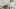 american-express-selects-shopping-say-flowers-2
