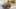 american-express-selects-dining-moments-hotel-restaurant-in-line-brail-4