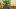 american-express-made-by-members-roman-hartmann-stagestatic