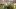 american-express-selects-hauptbild-selects-newsletter-april-2024-5