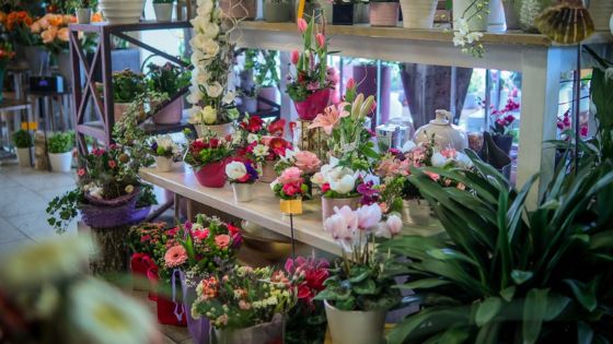american-express-neue-partner-abc-floral